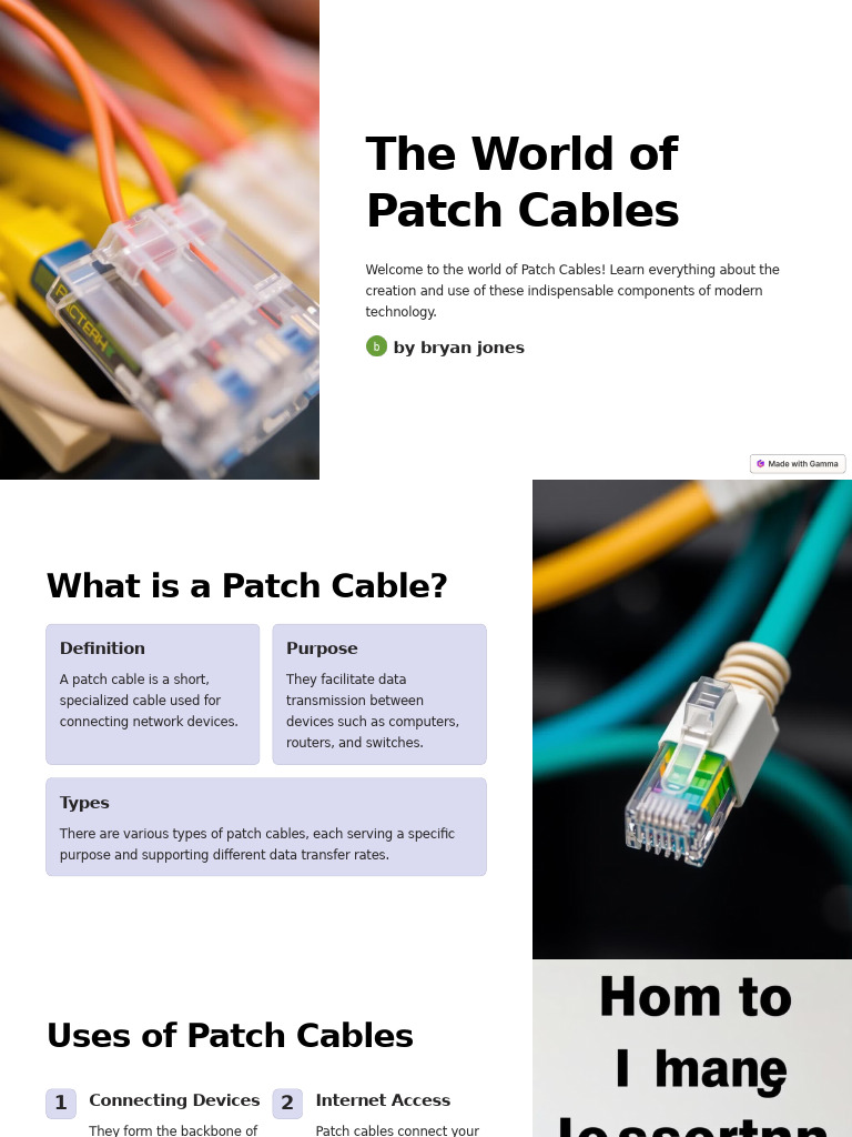The World of Patch Cables | PDF | Electrical Connector | Computer Network
