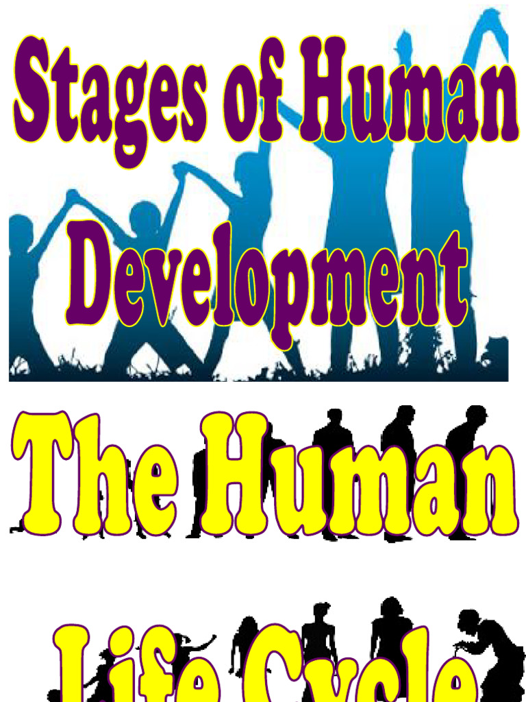 Chapter 2 - Stages of Human Development | PDF | Infants | Adolescence