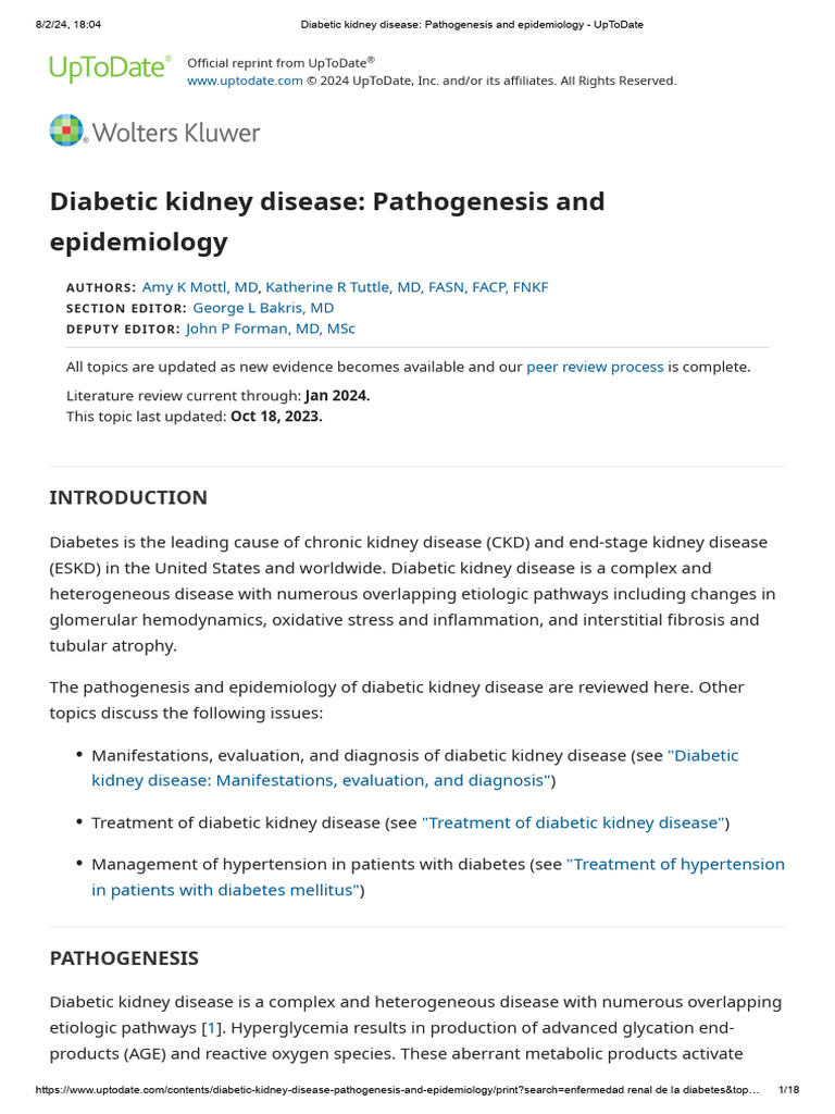 Diabetic Kidney Disease Overview | PDF | Kidney | Medical Specialties