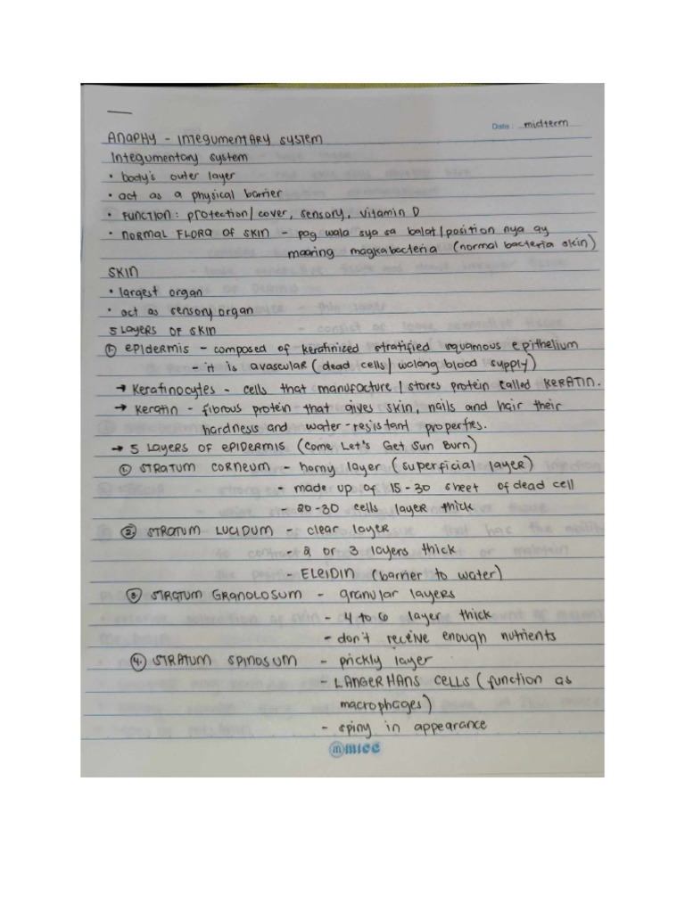 Endocrine | PDF