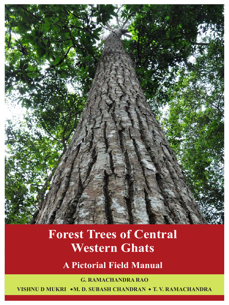 Full Book 1 | PDF | Biodiversity | Leaf