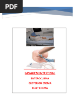 10Â Aula - Lavagem Intestinal - Enteroclisma, Enema e Clister | PDF