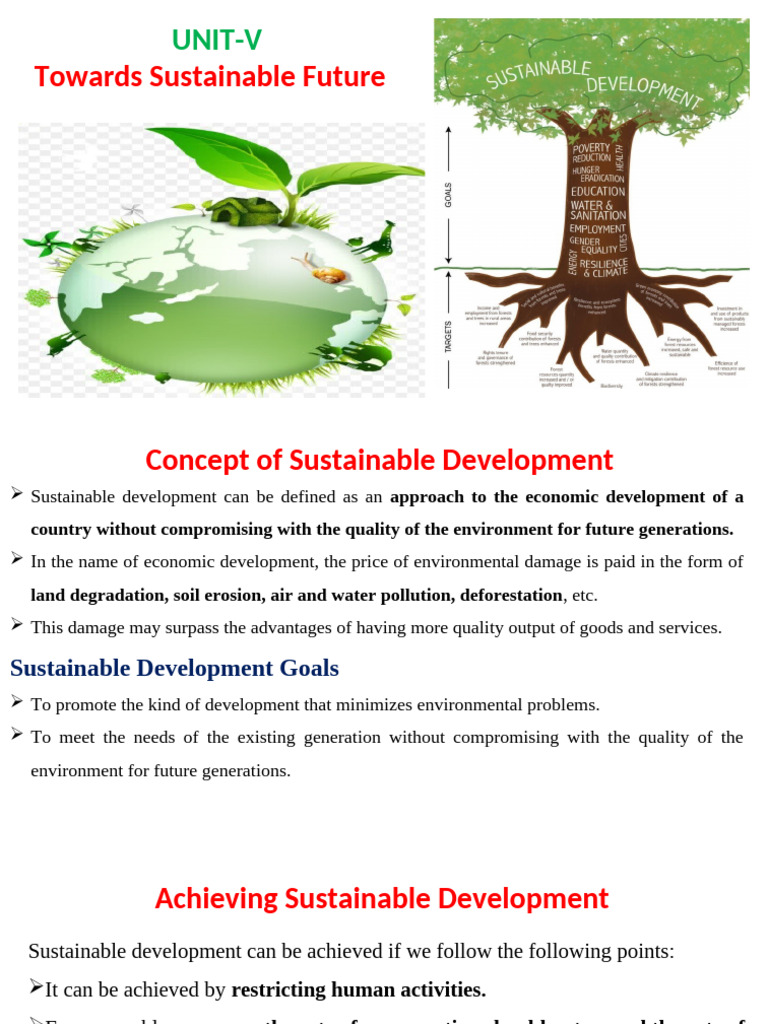 Strategies for Sustainable Development | PDF | Clean Development ...
