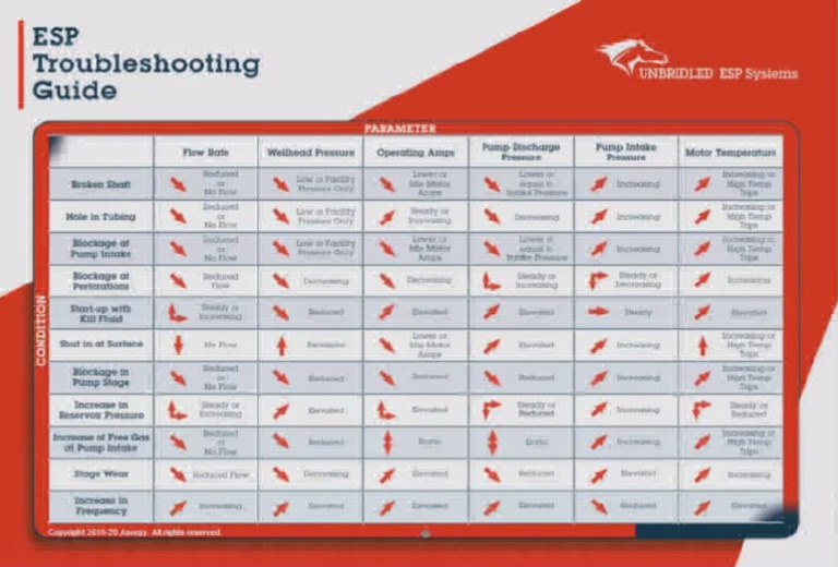 ESP Troubleshooting Guide | PDF