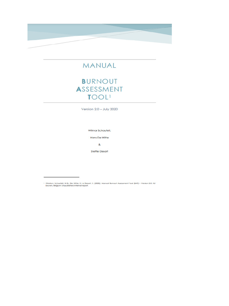 Burnout 1 | PDF