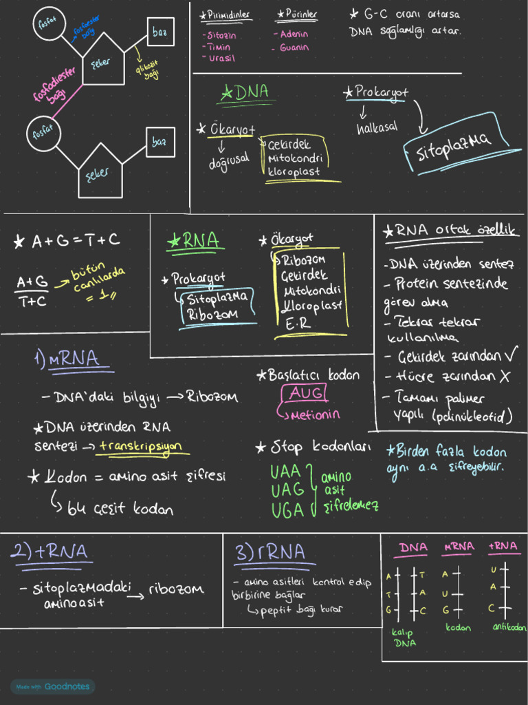 biyoloji-pdf