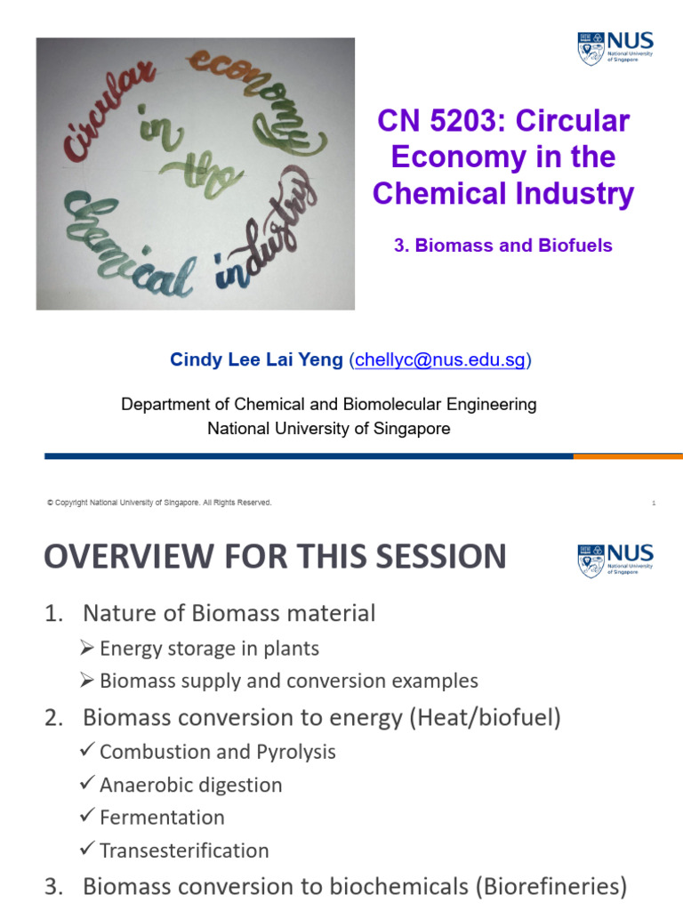 CN5203_03_Biomass and Biofuels 2025 | PDF | Biofuel | Anaerobic Digestion