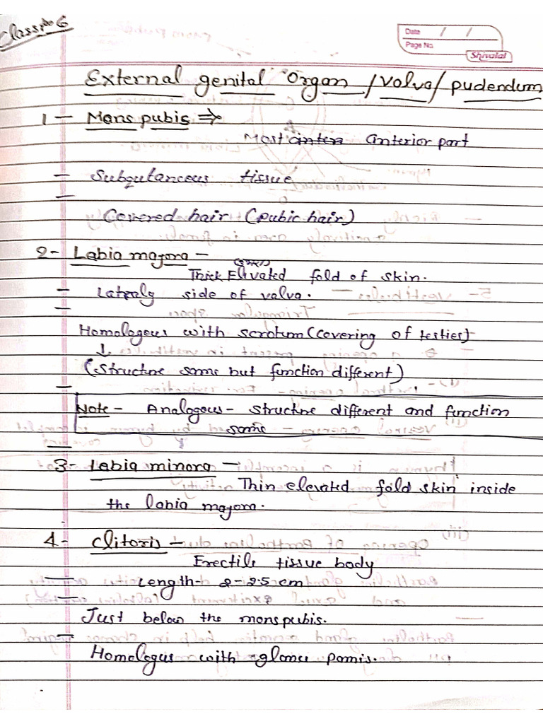 Obg 4 | PDF