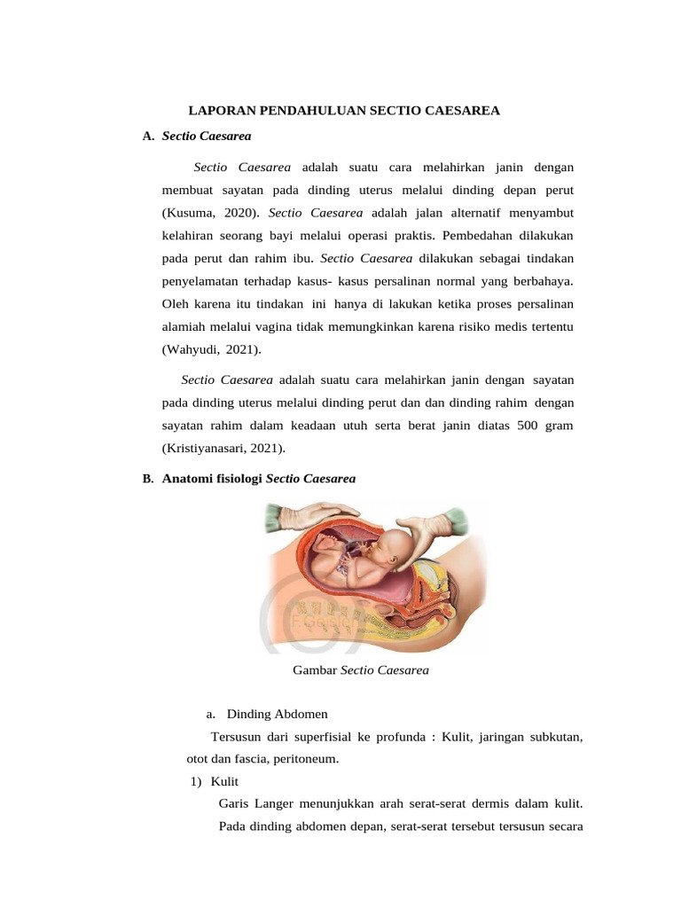 Anatomi dan Indikasi Sectio Caesarea | PDF