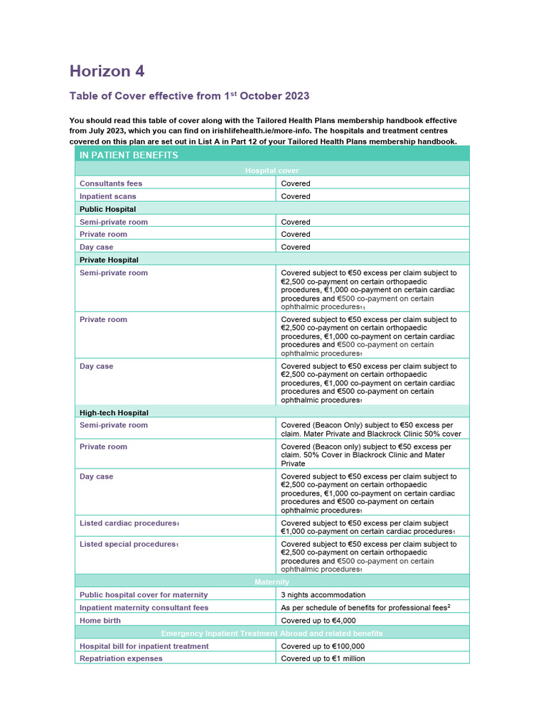 Horizon 4 Health Plan Coverage Details | PDF | Hospital | Health ...