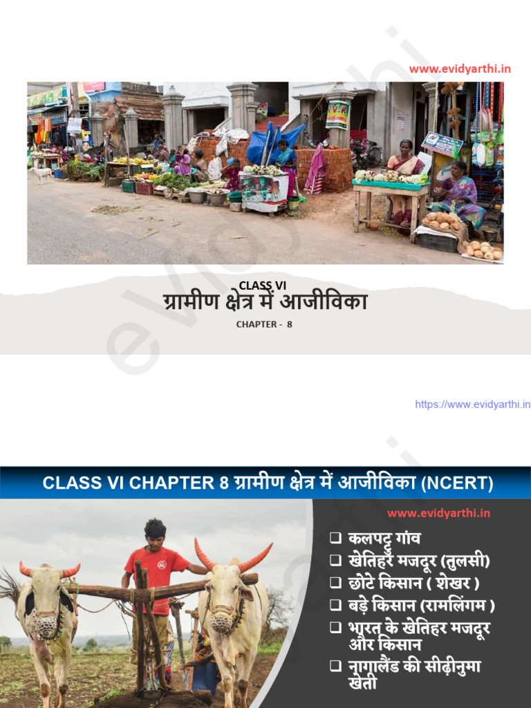 CH 8 Notes 1 | PDF