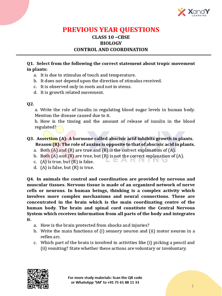 Class 10 CBSE Biology Control & Coordination | PDF | Nervous System ...