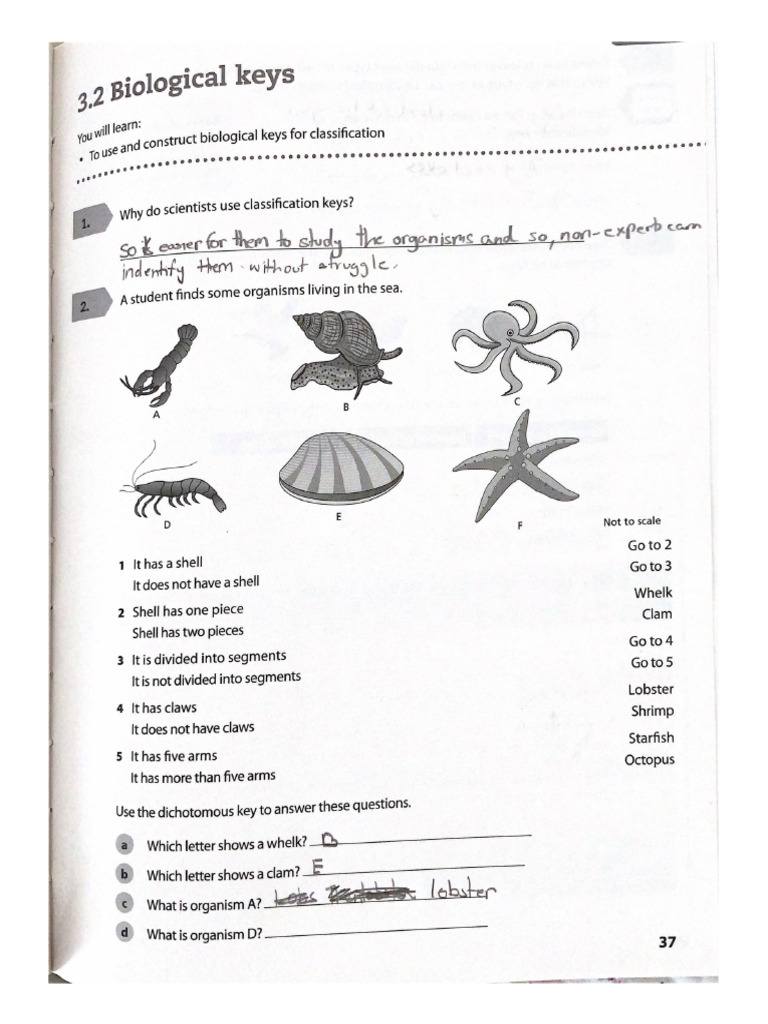 Bio Work | PDF