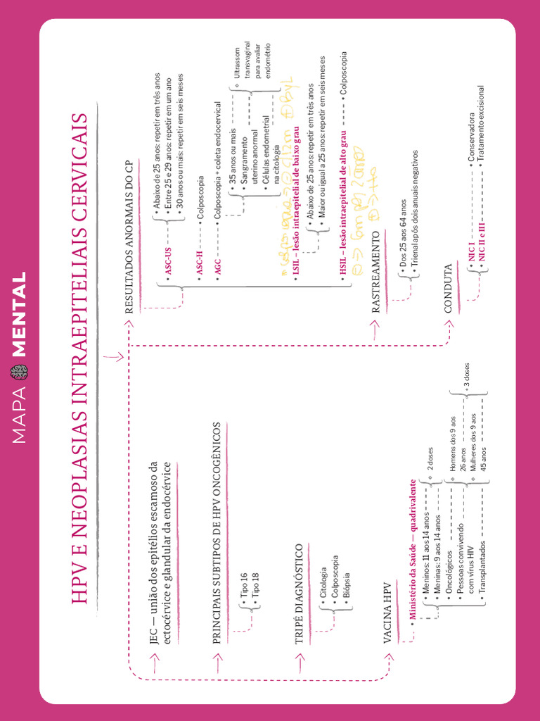 Mapa Mental sobre HPV e Lesões Cervicais | PDF | Ciências da Saúde ...