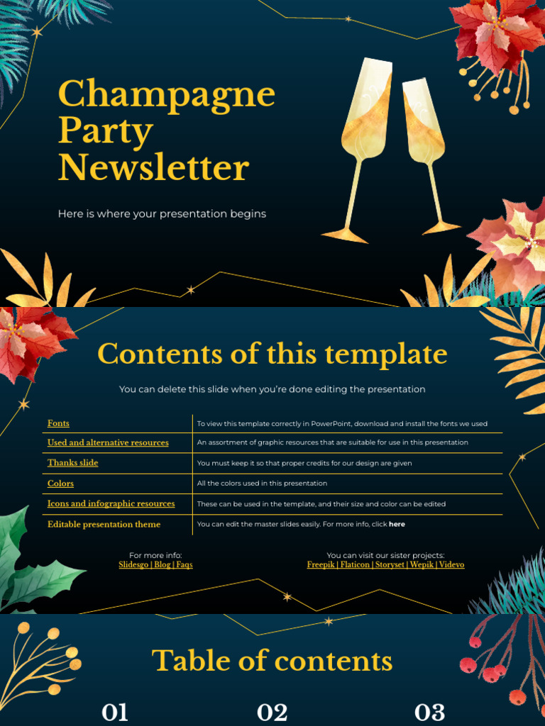 Copie de Champagne Party Newsletter | PDF | Planets | Solar System