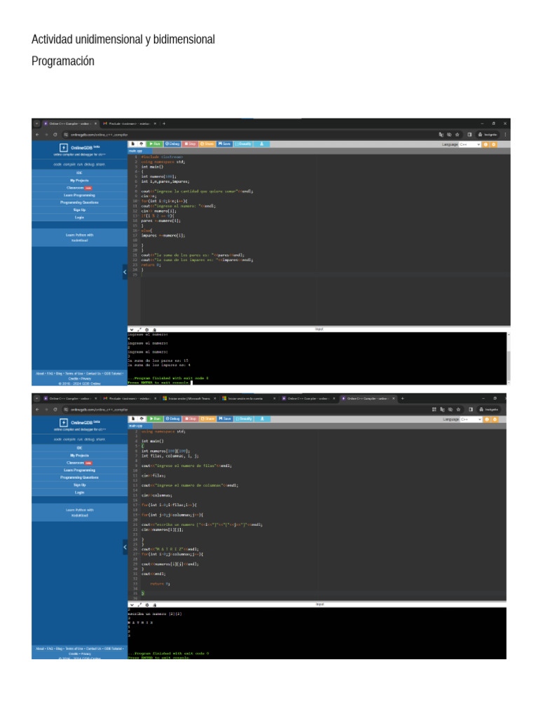 Actividad Unidimensional y Bidimensional Esteban Sanchez | PDF