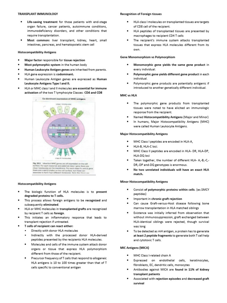 Transplant_Immunology | PDF | Transplant Rejection | Major ...