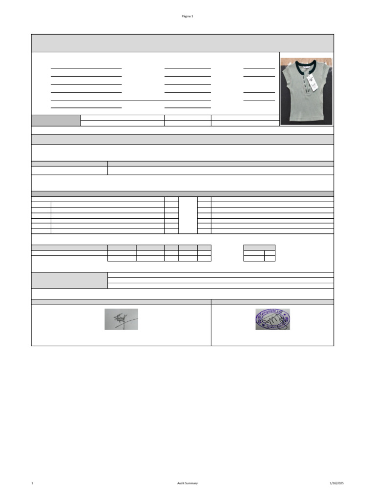 Final Inspection Report for TIFFOSI T-Shirt | PDF | Clothing | Textile Arts