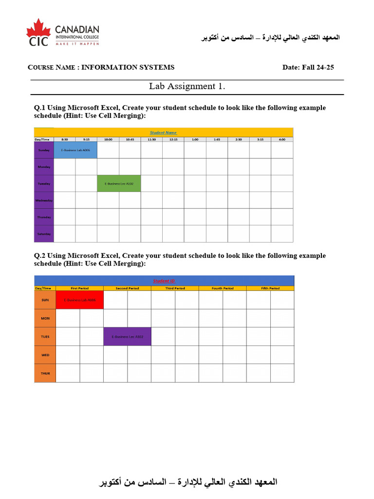 IS Lab Assignment 1 | PDF