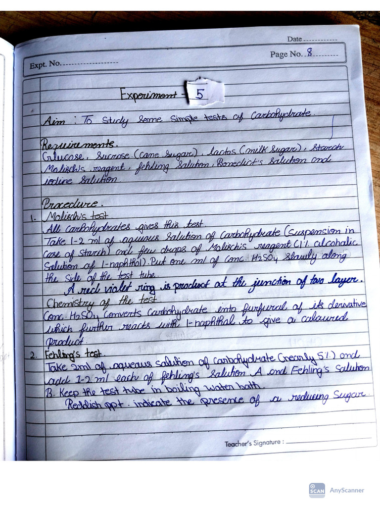 Chem Experiment 5 Pdf