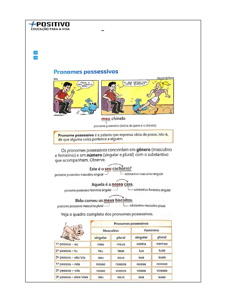 Atividades sobre Pronomes Possessivos 4º Ano | PDF