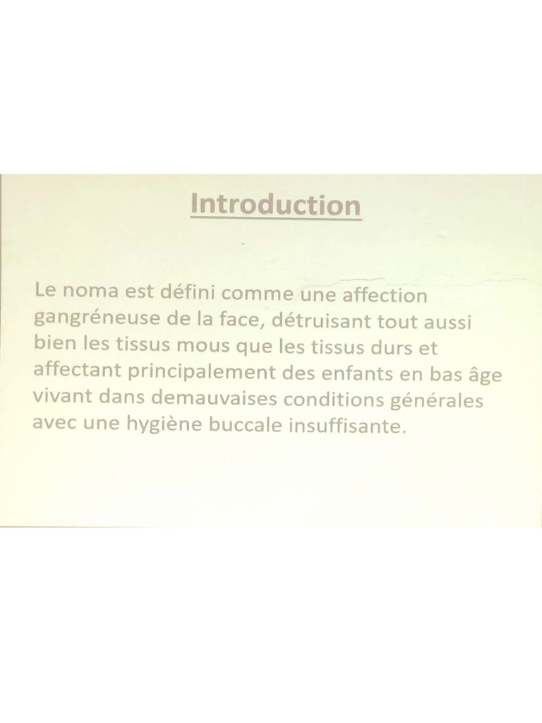 Noma | PDF