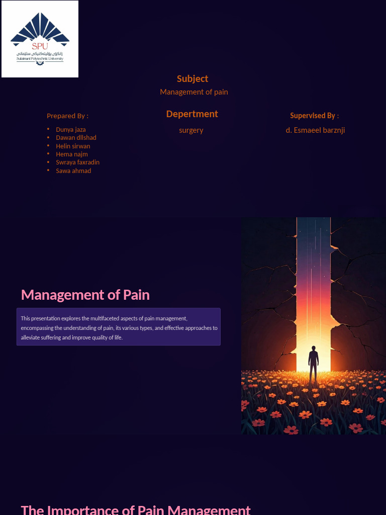 Pain Management Strategies Overview | PDF | Pain Management | Pain