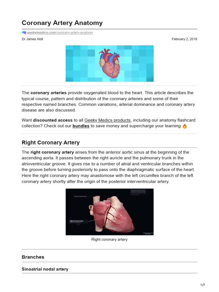 Coronary Artery Anatomy | PDF | Coronary Circulation | Heart