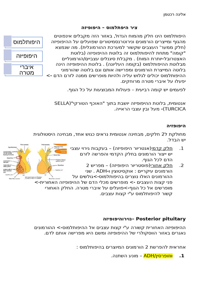 ציר היפתלמוס-היפופיזה | PDF
