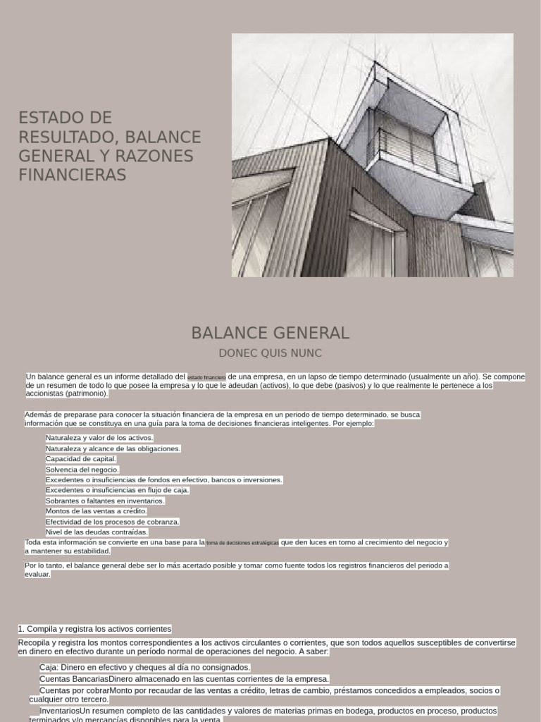 Balance General y Estado de Resultados | PDF | Hoja de balance | Business