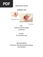 Download Atresia Ani by Nofrinadwi Perwita SN82083791 doc pdf