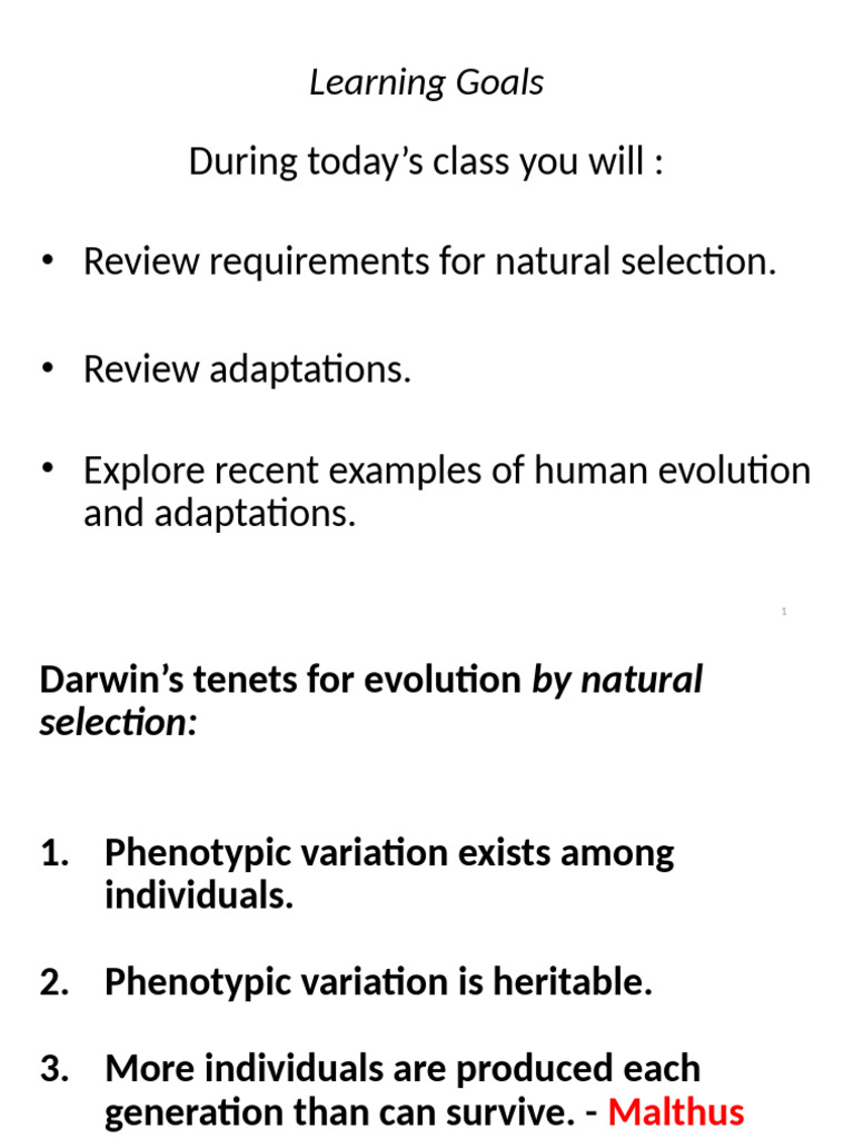 Human Evolution and Natural Selection Insights | PDF | Homo | Natural ...