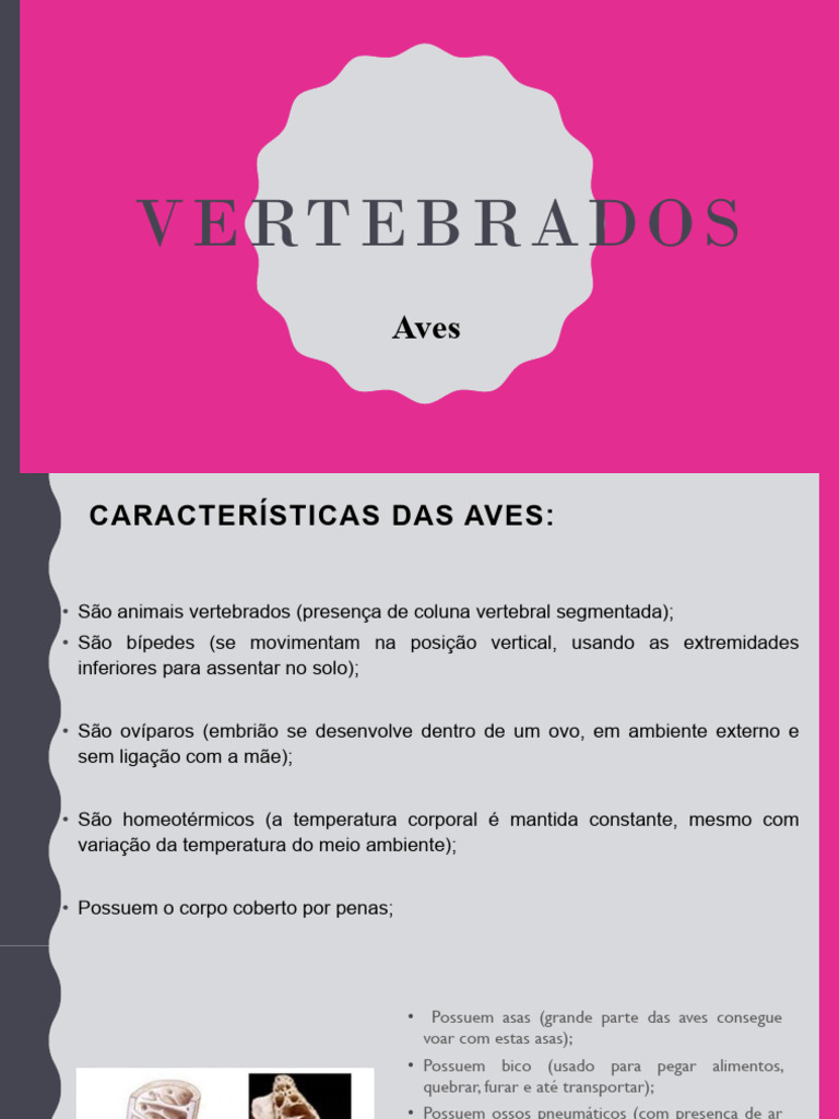 Aves Pdf Aves Asa