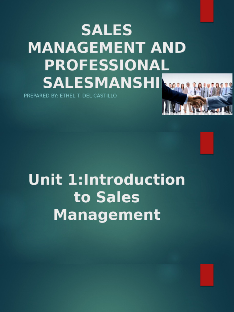 Sales Strategy Development Guide | PDF | Sales | Customer Relationship ...
