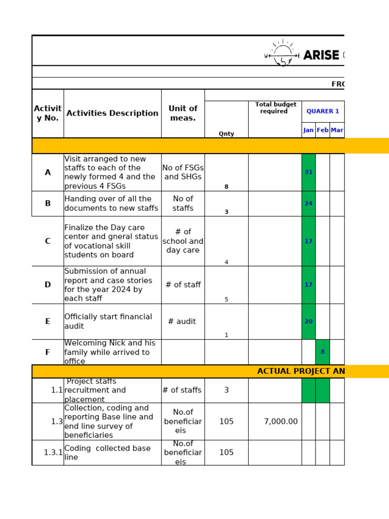 2025 Yearly Action and Budget Plan | PDF