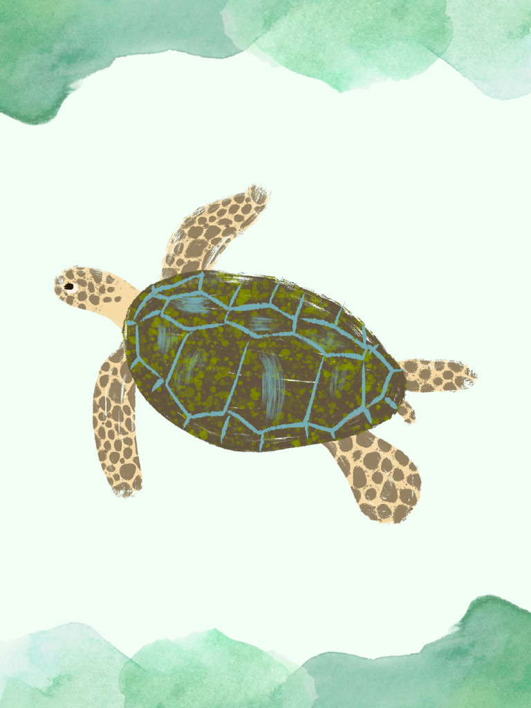 Tartaruga | PDF