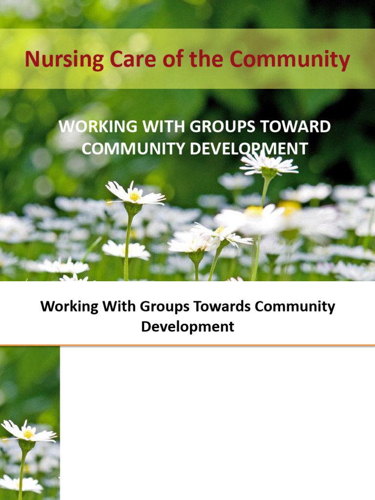 Effective Group Strategies in Community Nursing | PDF | Leadership | Goal