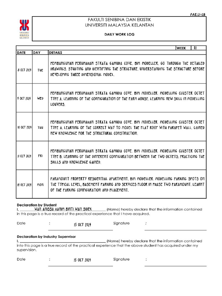 Daily Log Record | PDF