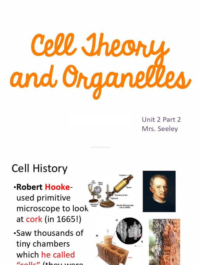 Cell Theory and Types of Cells Overview | PDF | Cell (Biology ...