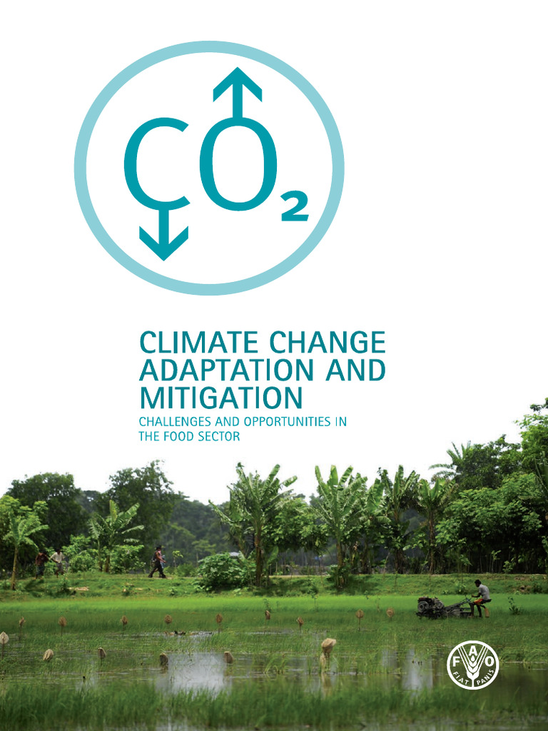 Climate Change Adaptation and Mitigation | PDF