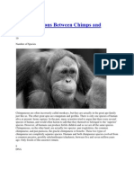 10 Comparisons Between Chimps and Humans