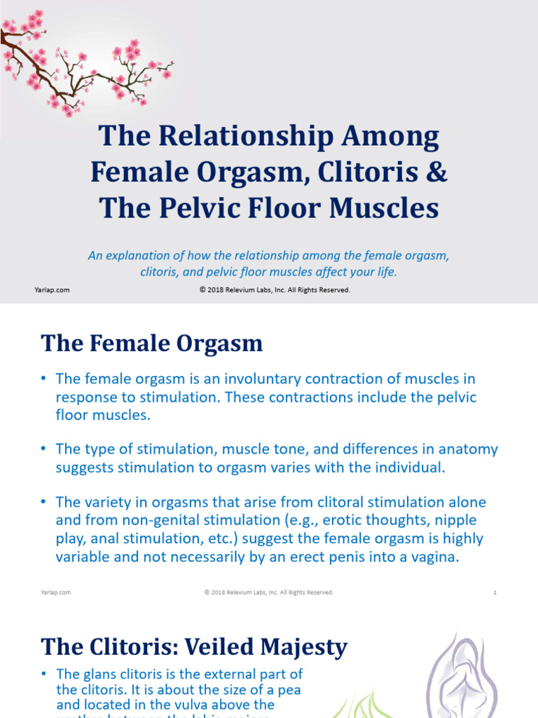 the-female-orgasm-clitoris-pelvic-floor-muscles-1-pdf-clitoris-orgasm