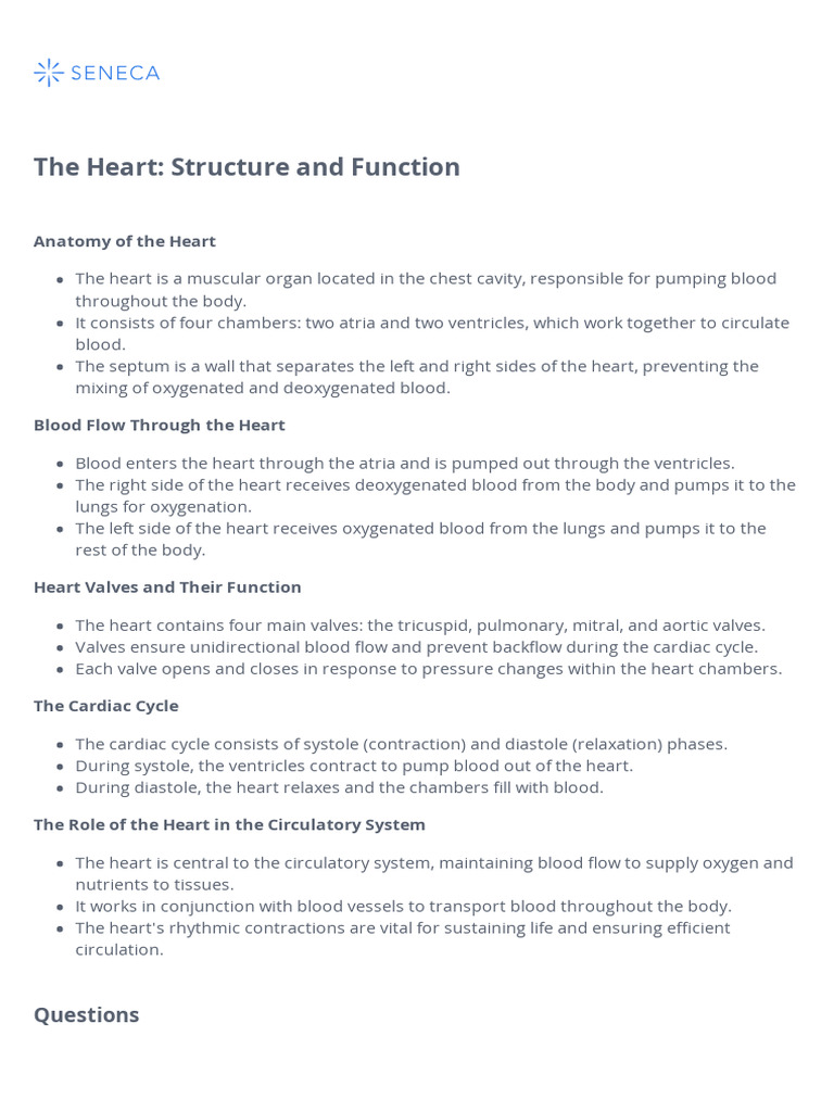 Heart Anatomy and Blood Flow Explained | PDF | Heart | Circulatory System