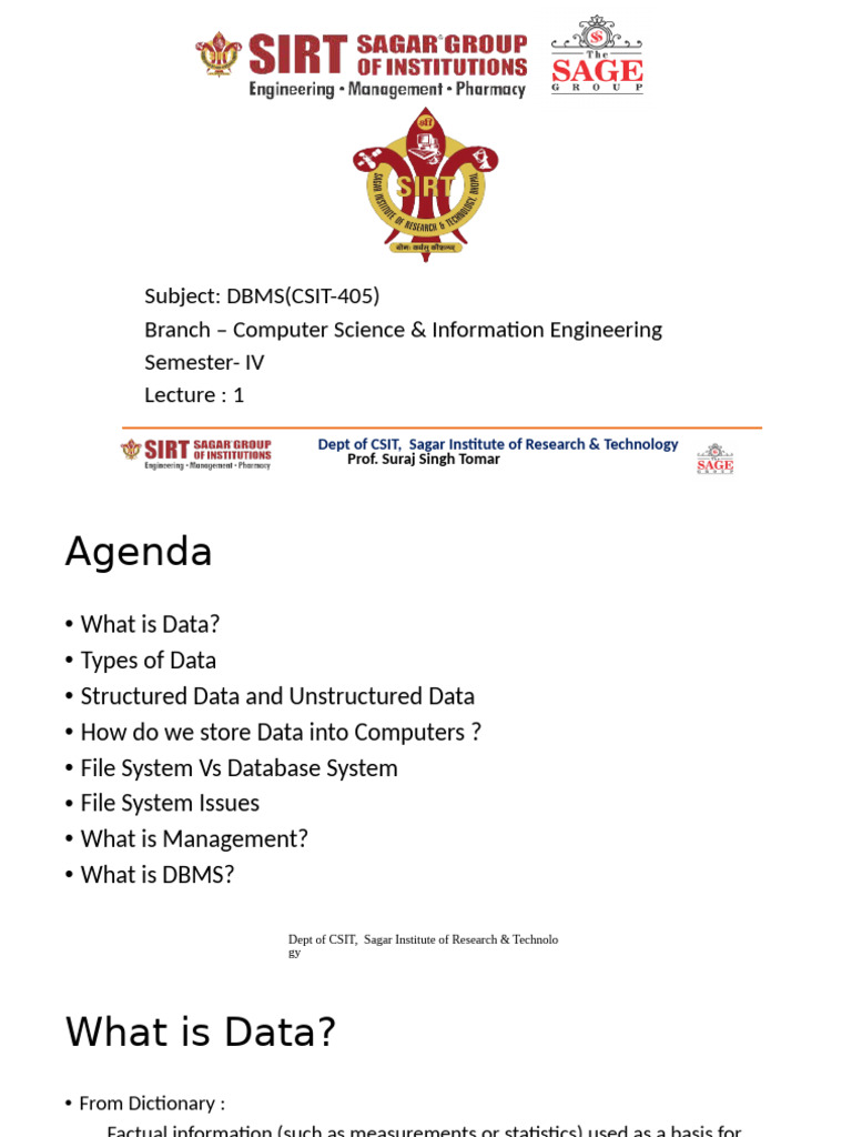 DBMS Basics for CSIT Students | PDF | Databases | Data