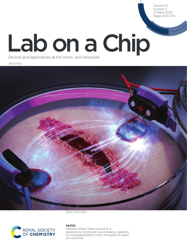 Lab On A Chip: Devices and Applications at The Micro-And Nanoscale ...
