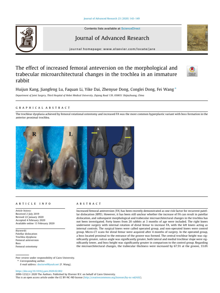 The Effect of Increased Femoral Anteversion On The Morpholo | PDF ...