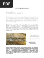 Anatomía y cultura de las nalgas | PDF | Nalgas | Anatomía humana