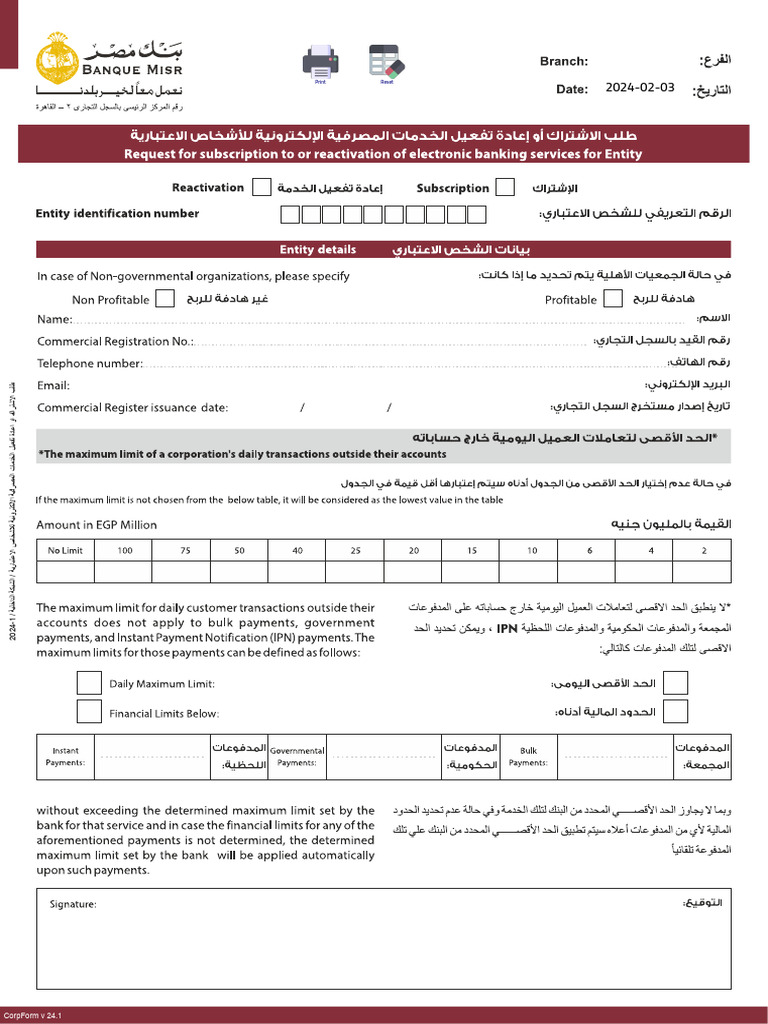 2024 CorpForm v 24.1 Overview | PDF
