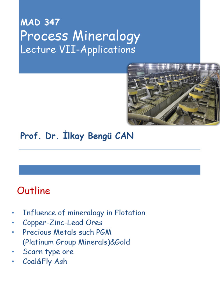 Flotation Applications in Mineral Processing | PDF | Zinc | Minerals