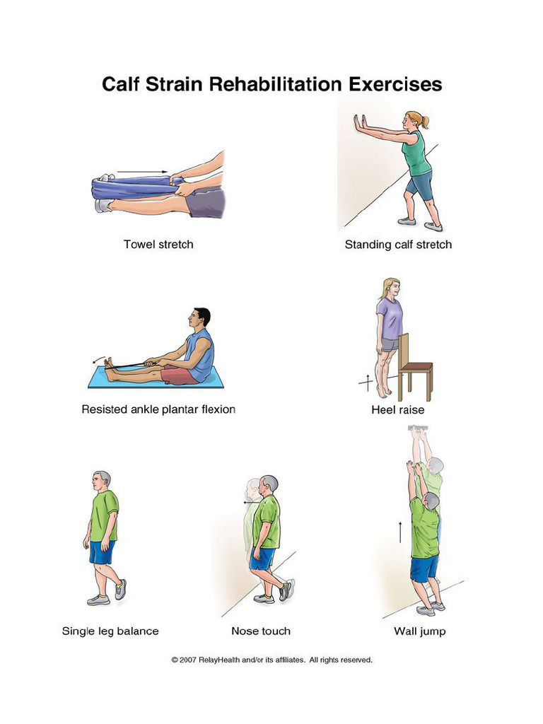 Calf Muscle Exercise | PDF